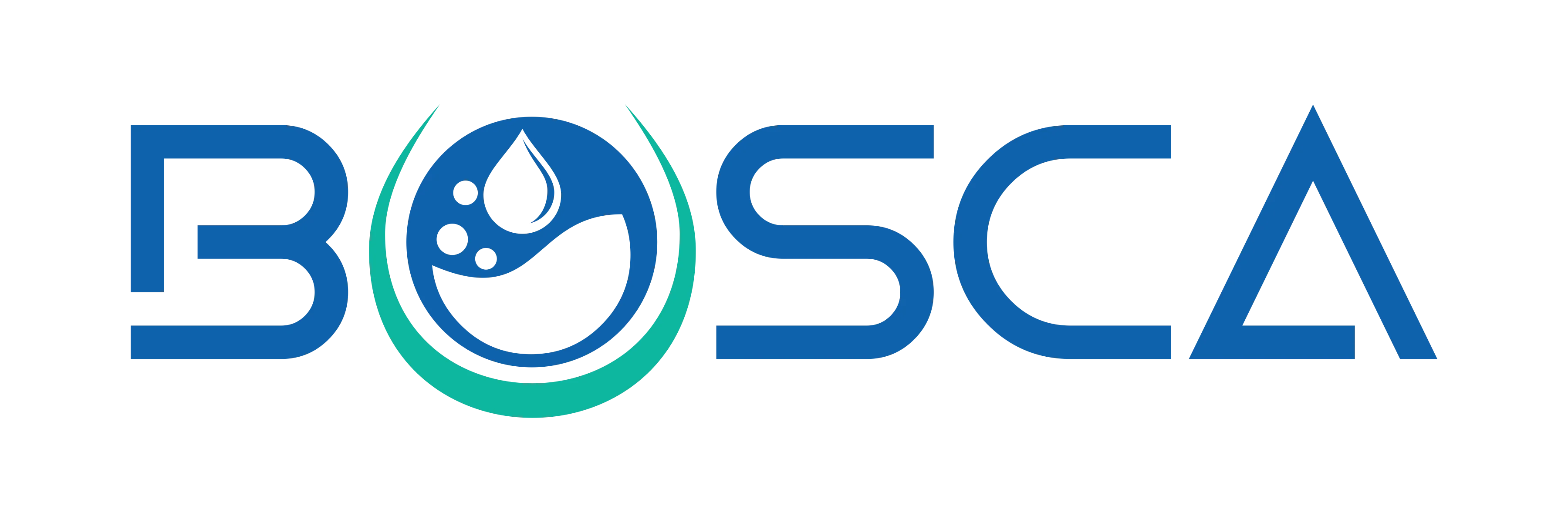 Bosca Chemicals