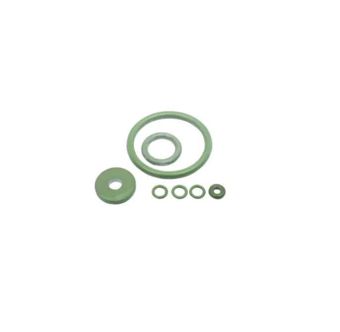 Klager Viton Seals Kit Suitable For Solvent and Acid Resistant Sprayers